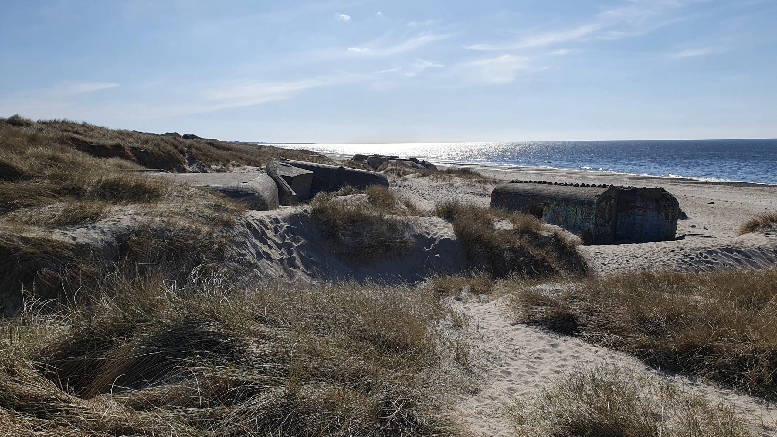 Beach in Denmark