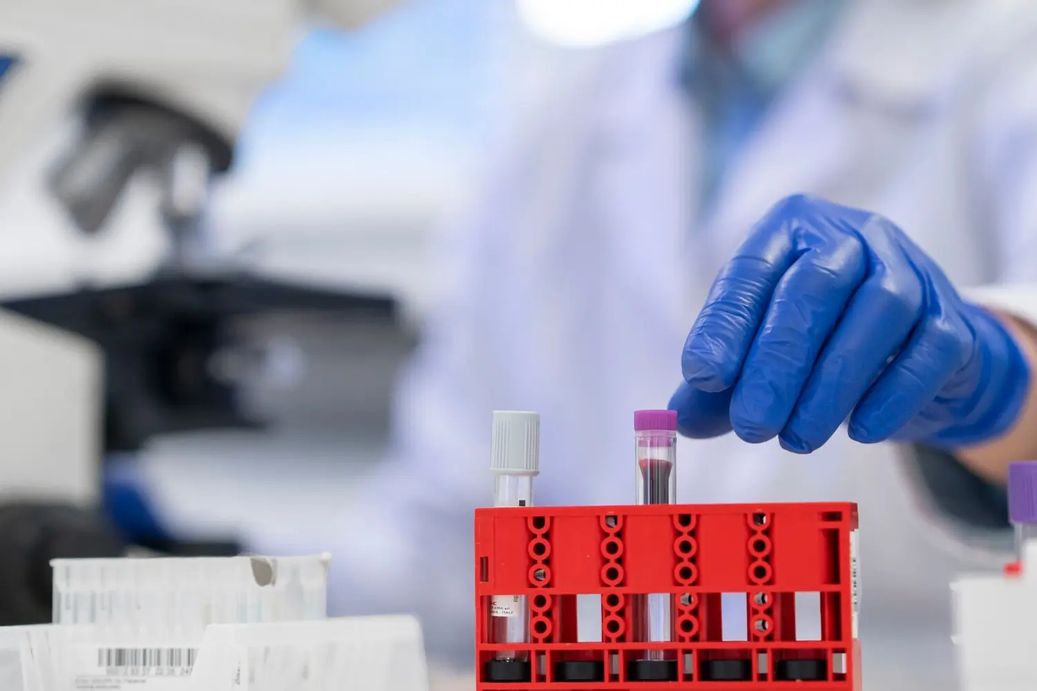 Doctor working in hematology